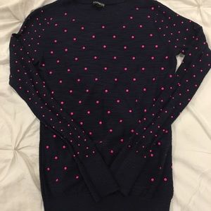 Express polka dot sweater